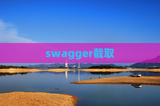 swagger截取
